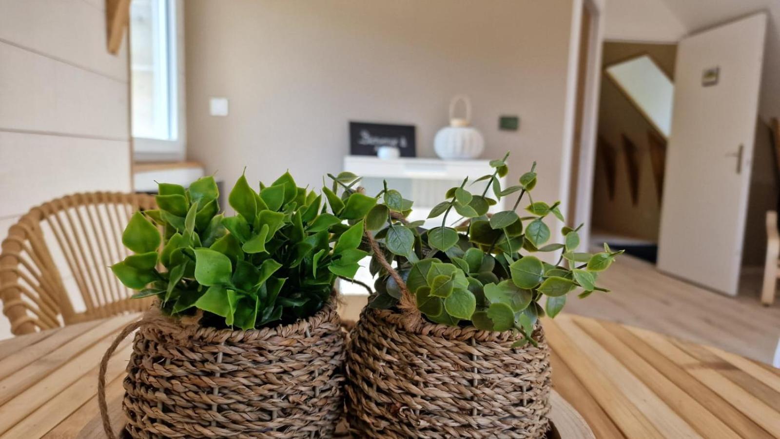 Bed and Breakfast La Puy Mary Le Falgoux Екстер'єр фото